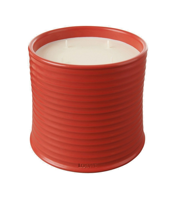 Photo: Loewe Home Scents Tomato Leaves Large scented candle