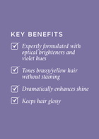 Philip Kingsley Pure Blonde/silver Brightening Daily Shampoo 250ml