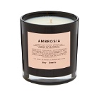Boy Smells Ambrosia Scented Candle in 240G