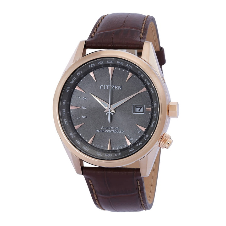 Photo: Citizen Perpetual World Time GMT Eco-Drive Grey Dial Mens Watch CB0273-11H
