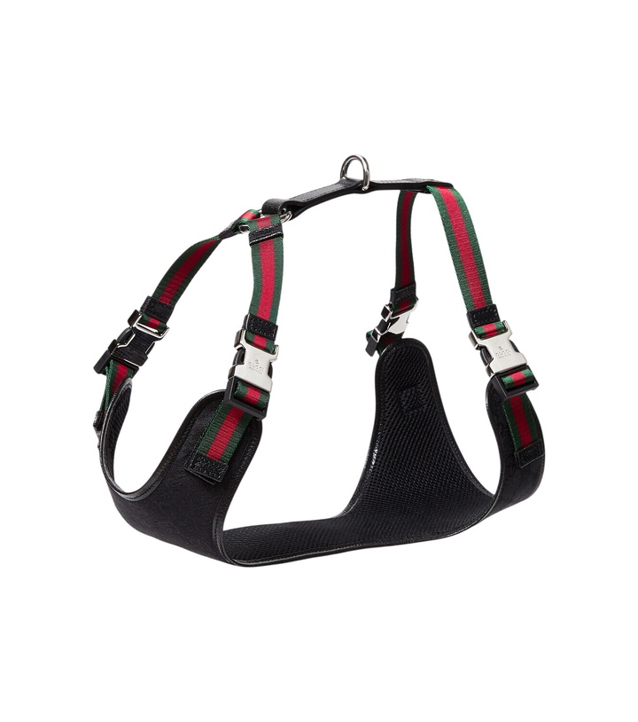 Photo: Gucci S/M GG canvas dog harness
