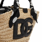 Dolce & Gabbana Women's Large Raffia Bag in Cross Body 