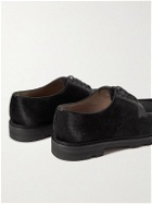 Manolo Blahnik - Umar Leather-Trimmed Calf Hair Derby Shoes - Black