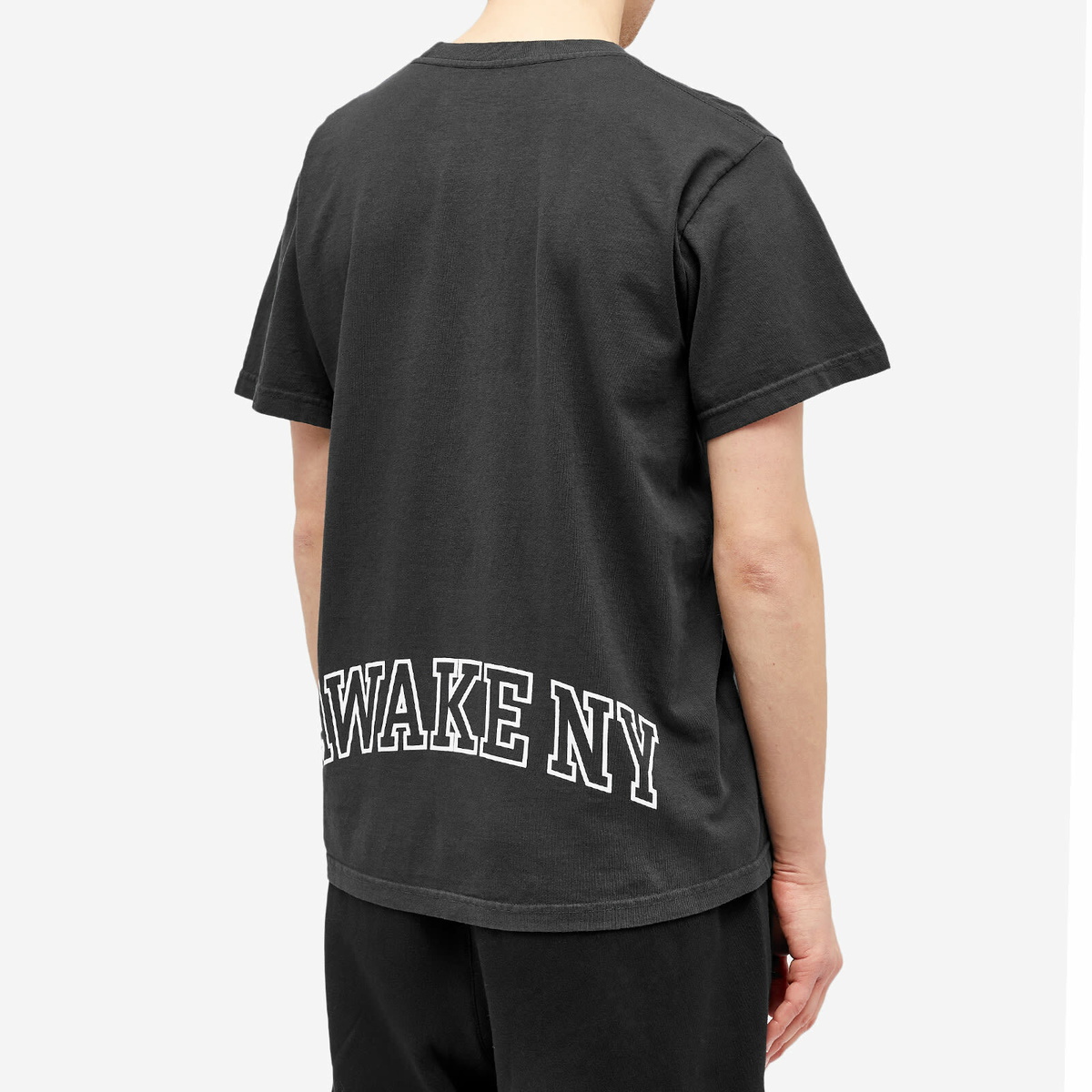 Awake NY Men's Bruce Lee T-Shirt in Washed Black Awake NY