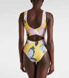 Alexandra Miro Beth floral cutout swimsuit