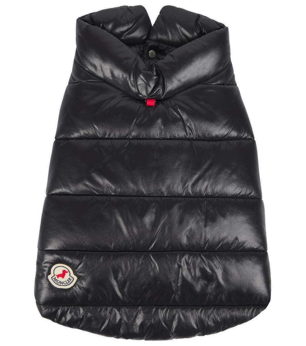 Moncler Dog coat Moncler
