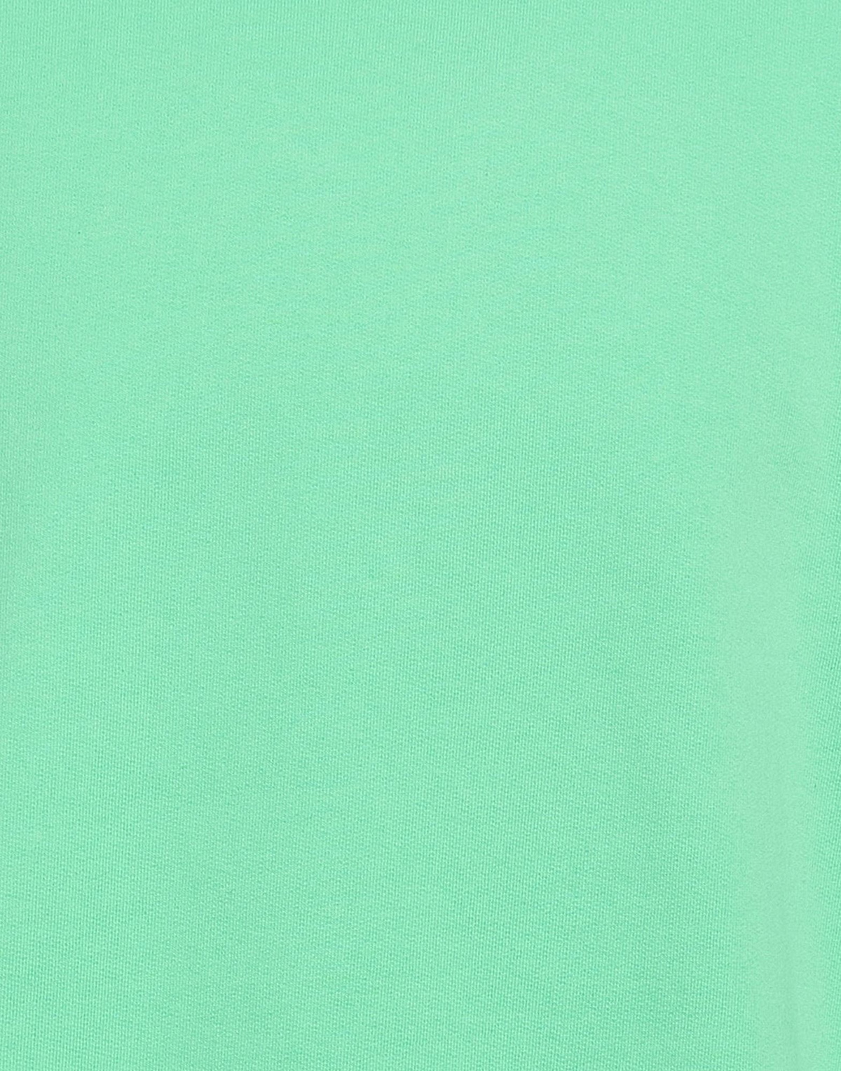 Colorful Standard Mens Sweatshirt Light in Green