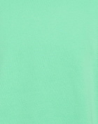 Colorful Standard Mens Sweatshirt Light in Green