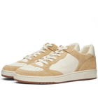 Polo Ralph Lauren Men's Court Low Top Sneakers in Bone/Ecru