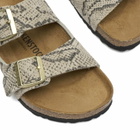 Birkenstock Women's Arizona Print in Oyster