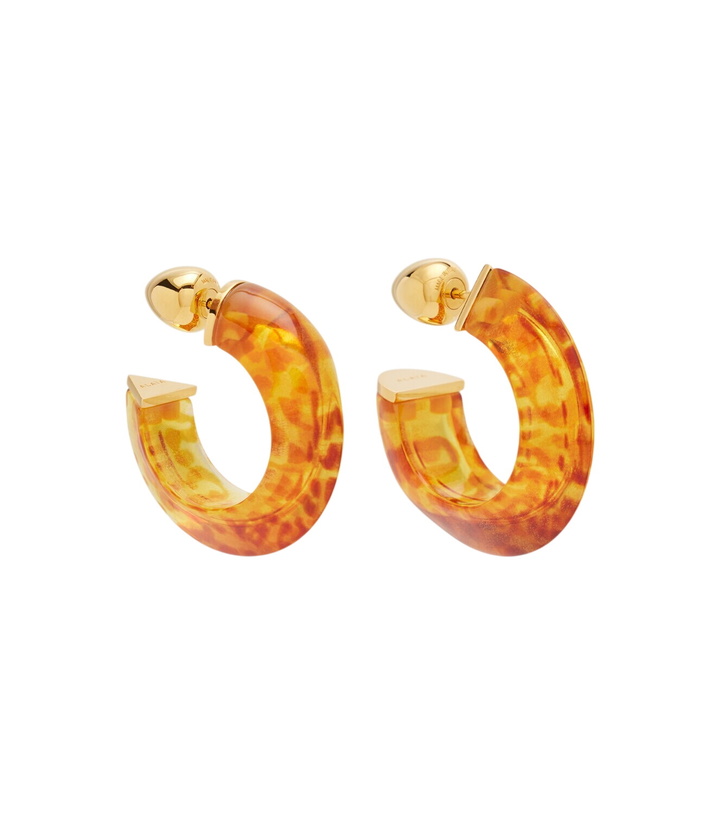Photo: Alaïa Edge leopard-print hoop earrings