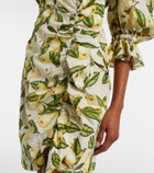 Adriana Degreas Printed cotton-blend minidress