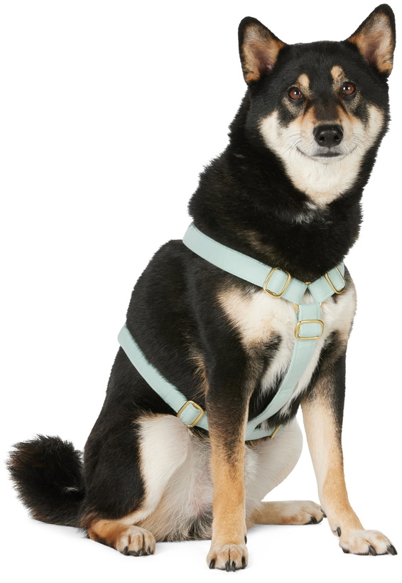 Photo: See Scout Sleep Green The Scot Medium Standard Harness