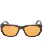 Sub Sun Men's SUB008 Sunglasses in Wood/Orange