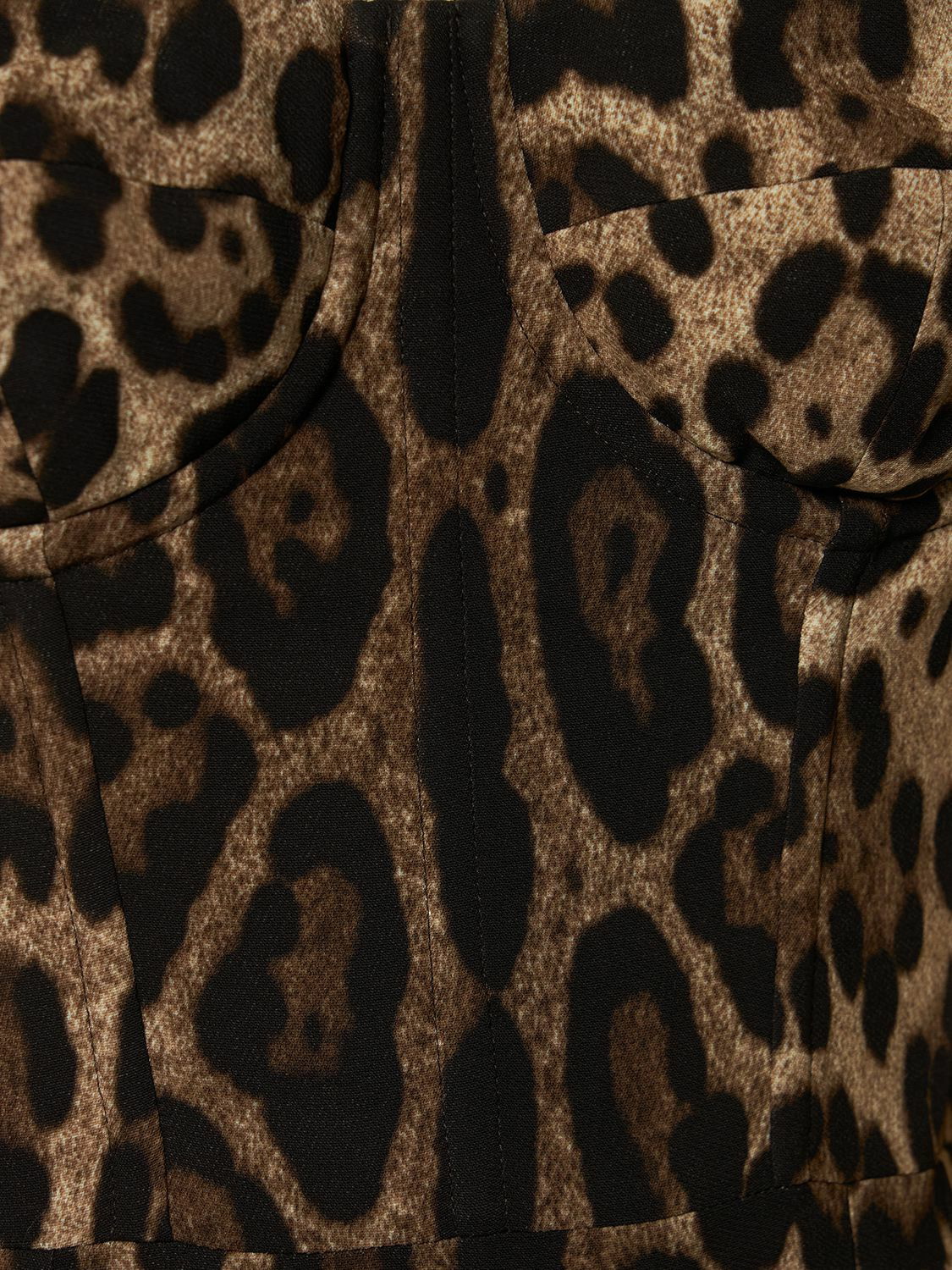 Leopard Print Corset Midi Dress