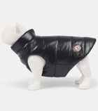 Moncler Dog coat