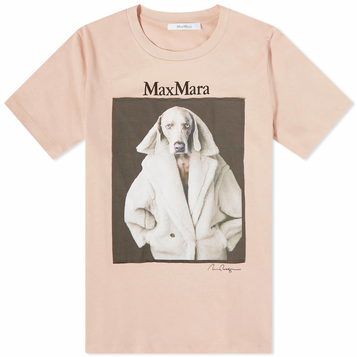 【MAX MARA】VALIDO Tシャツ VALIDO 003 Max Mara MAX MARA マックスマーラ Tシャツ VALIDO レディース