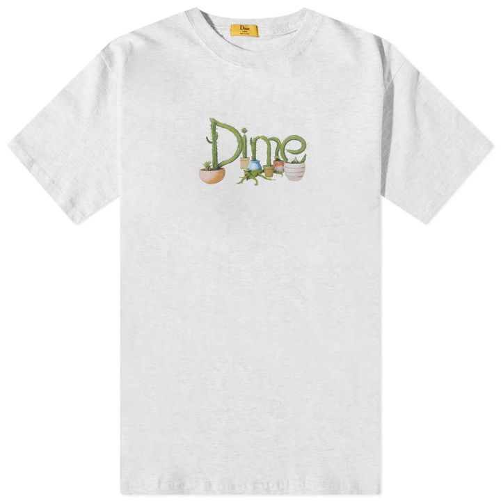 Photo: Dime Men's Cactus T-Shirt in Ash