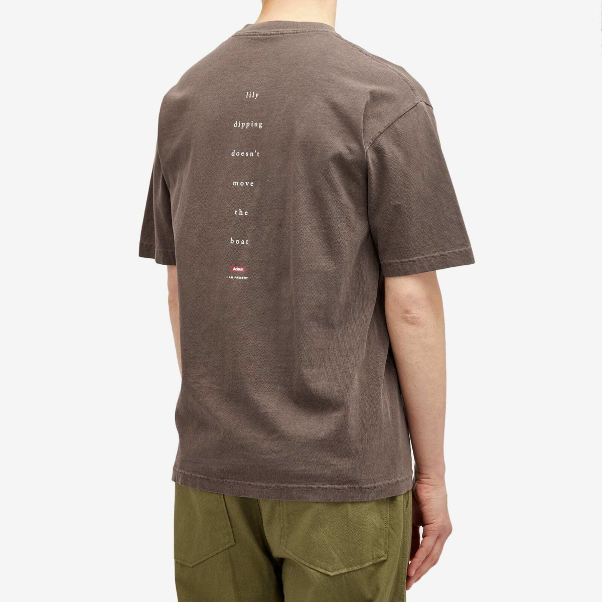 Adsum Men's Lily T-Shirt in Brown
