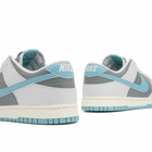 Nike Men's Dunk Low Retro Se Sneaker in Photon/Denim/Grey