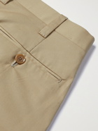 GIULIVA HERITAGE - Umberto Tapered Pleated Wool Trousers - Neutrals