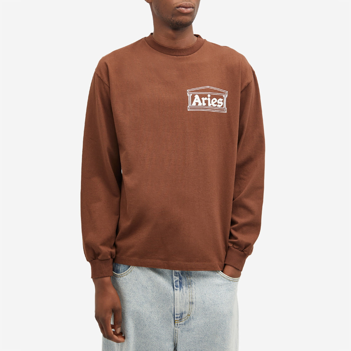 Aries Men's Long Sleeve Temple T-Shirt in Brown