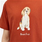 Bram's Fruit Men's Beagle Aquarel T-Shirt in Bordeaux
