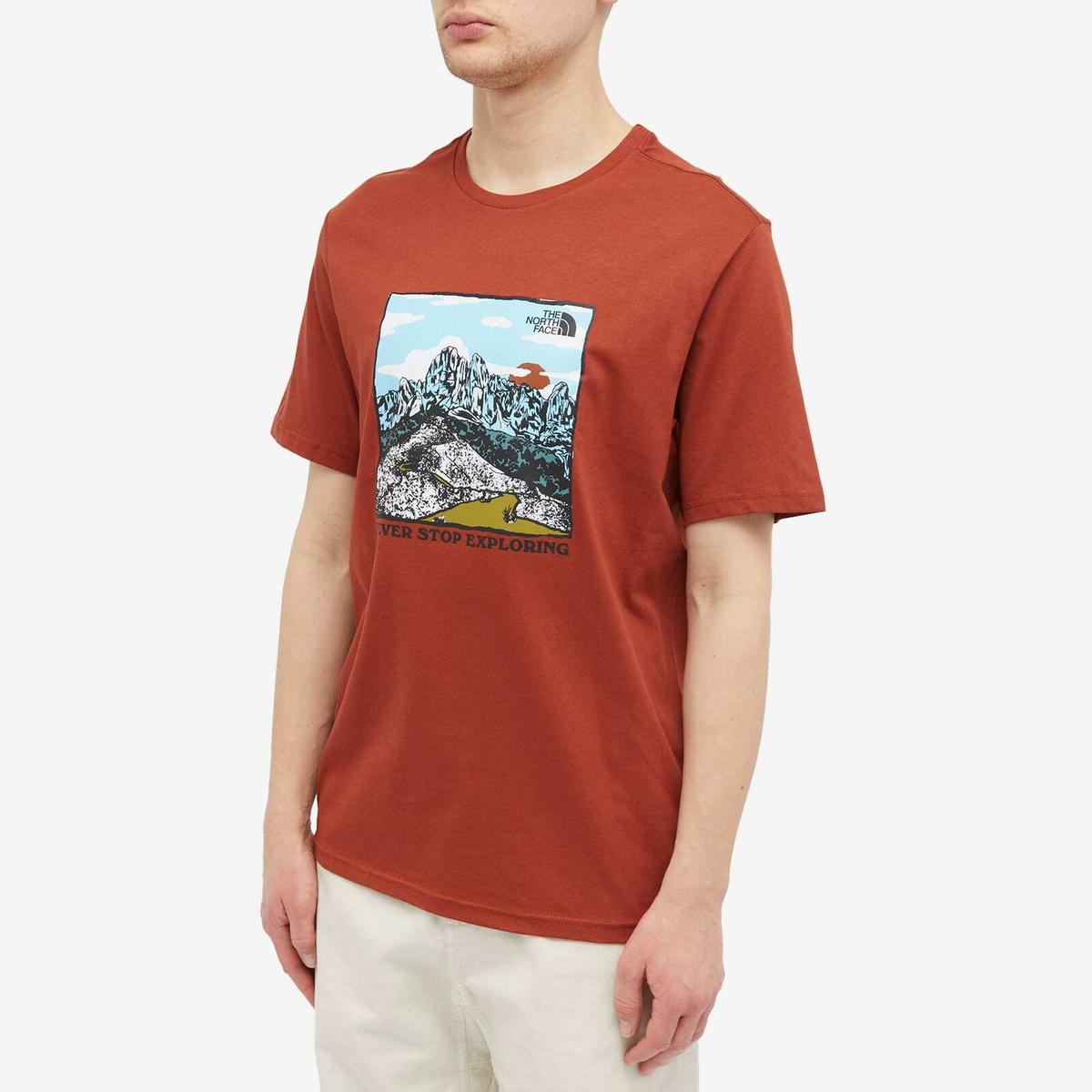 The North Face Men's Graphic T-Shirt in Brandy Brown