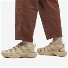 Keen Men's Newport H2 Sneakers in Monochrome/Safari