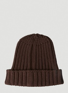 Chunky Knit Beanie Hat in Brown