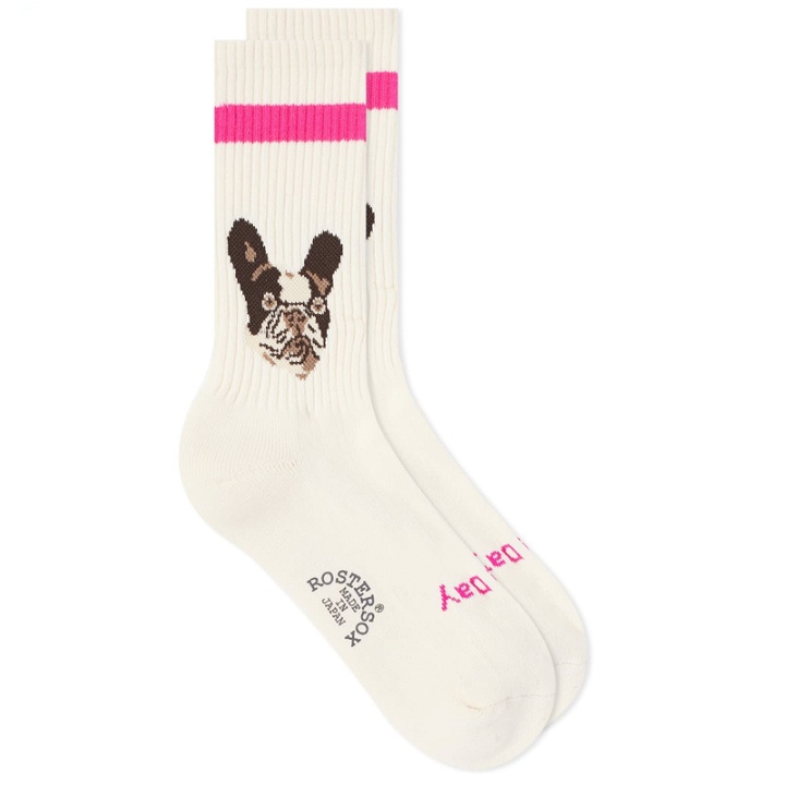 Photo: Rostersox Dog Sock in Pink