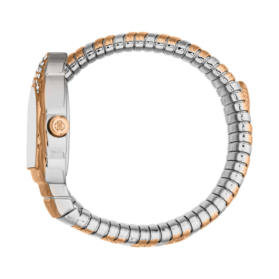 Roberto Cavalli Aurora Silver-tone Dial Ladies Watch RC5L133M0075