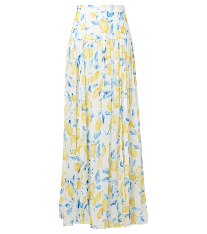 Photo: Alexandra Miro Jamie sheer maxi skirt
