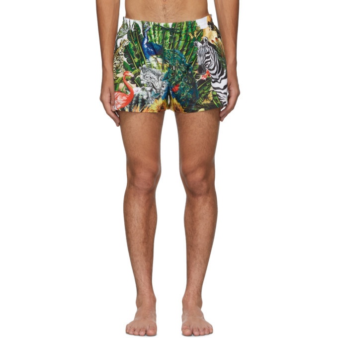 Photo: Dolce and Gabbana Multicolor Giardino 2 Swim Shorts