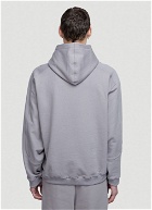 Earth Walk Hooded Sweatshirt in Grey