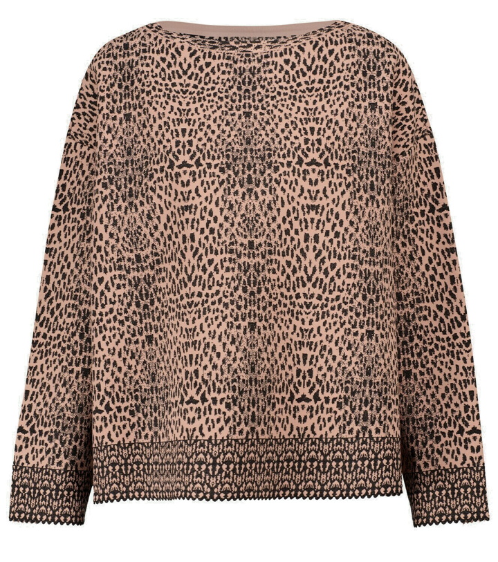 Photo: Alaïa Leopard-jacquard sweater