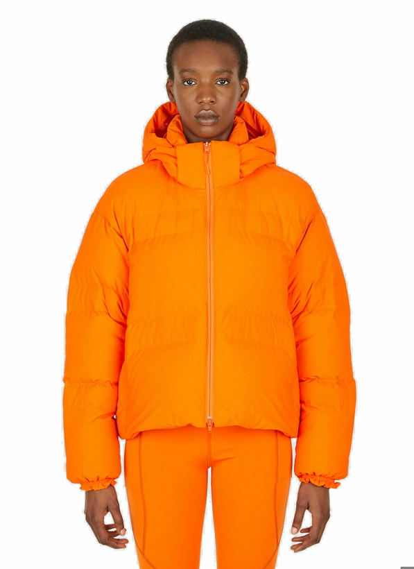 Photo: Hooded Puffer Jacket in Orange