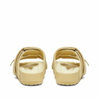 Birkenstock 1774 x TEKLA Uji Suede in Straw