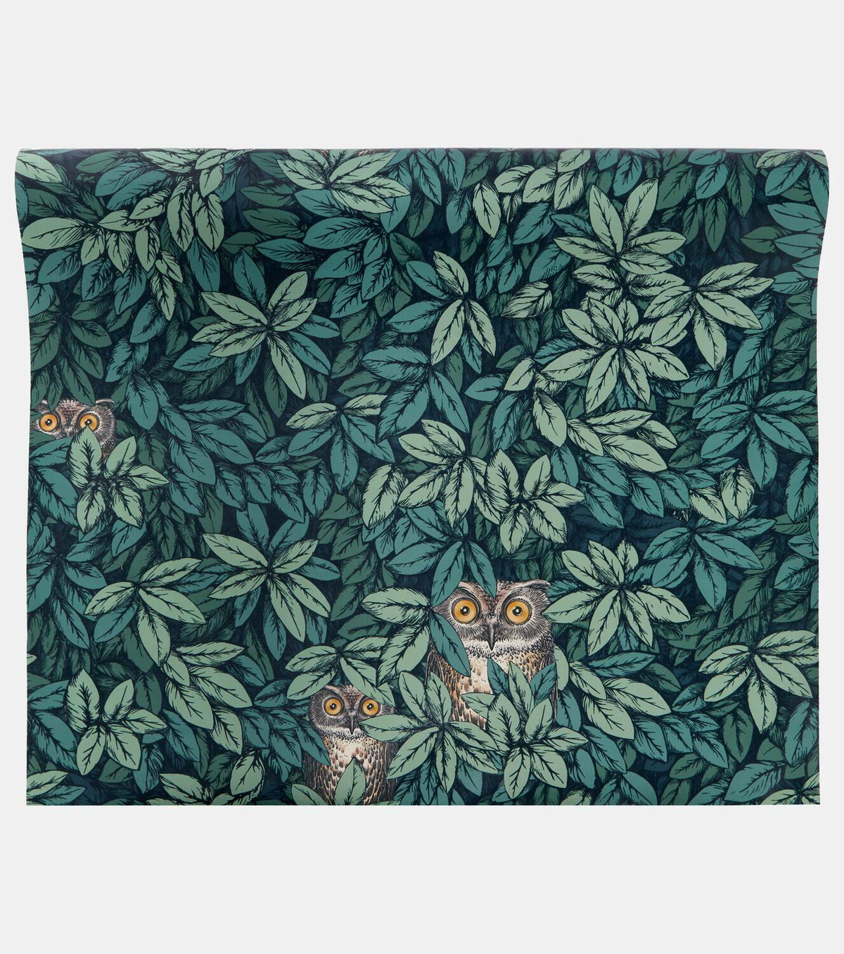 Fornasetti x Cole & Son Foglie e Civette wallpaper