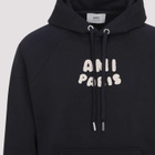 Ami Alexandre Mattiussi Boxy Hoodie