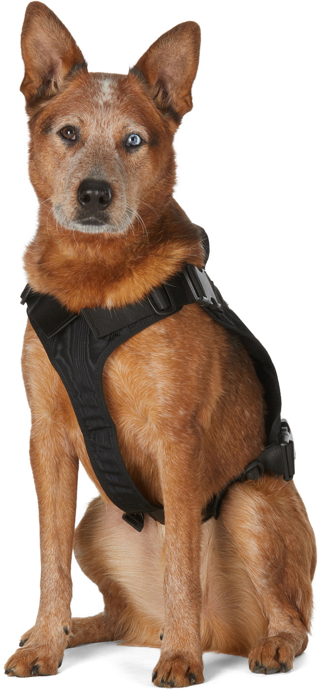 Marine Serre SSENSE Exclusive Black Multiple Pockets Harness