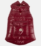Moncler Moncler Poldo Dog Couture dog coat