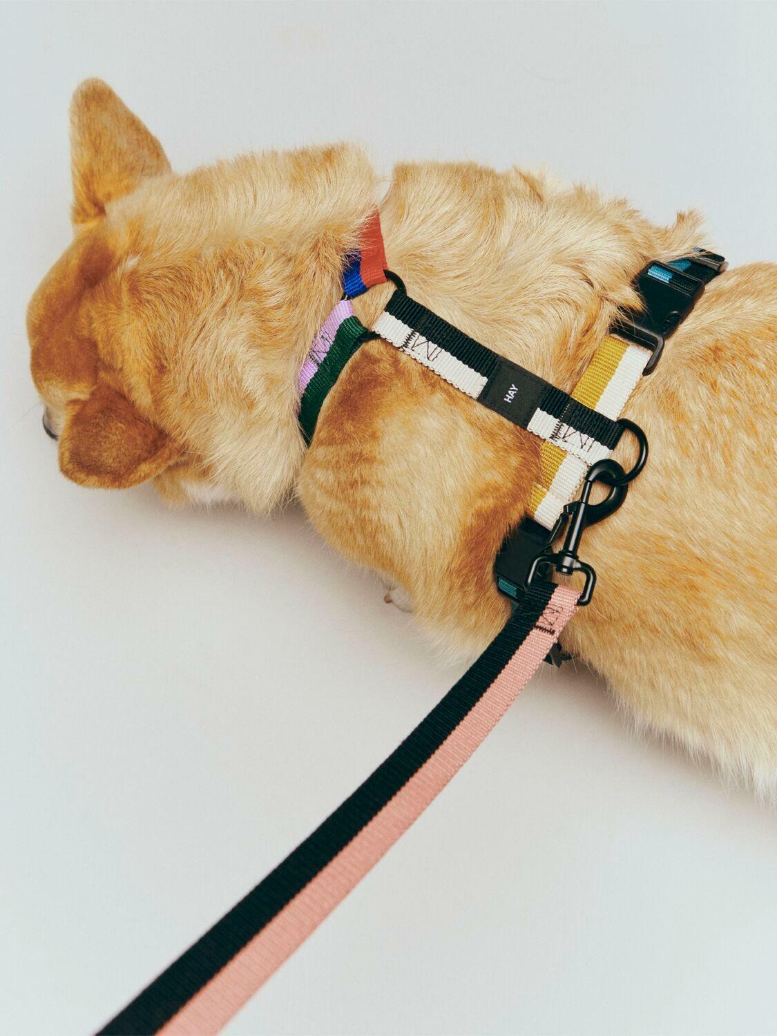 HAY Dog Harness