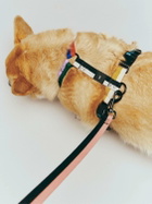 HAY Dog Harness