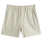 Homme Plissé Issey Miyake Men's Stripe Short in Green 