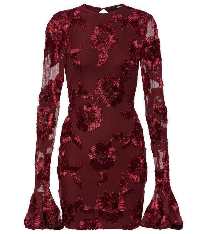 Photo: Rotate Floral embroidered mesh minidress