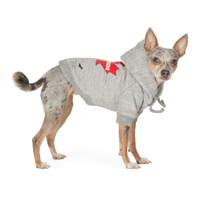 Photo: Dsquared2 Grey Poldo Dog Couture Edition Maple Ottawa Hoodie