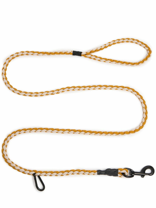 Photo: HAY Braided Adjustable M/l Dog Leash