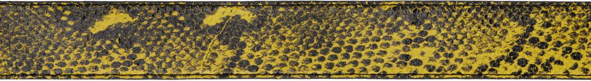 LU'U DAN Black & Yellow 'Year of the Snake' Jungle Carpet Python Belt