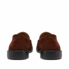 Vinnys Men's VINNY's Yardee Moccasin Loafer in Brown Suede